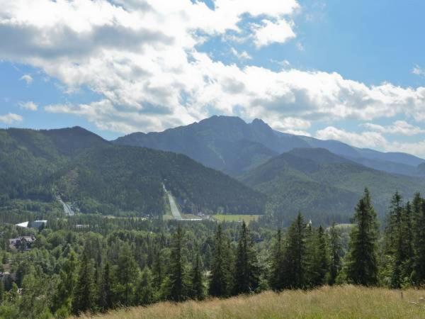 Apartament Antolka Zakopane Zewnętrze zdjęcie