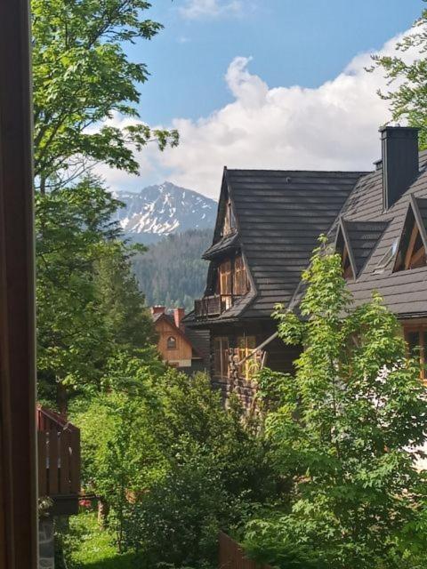 Apartament Antolka Zakopane Zewnętrze zdjęcie